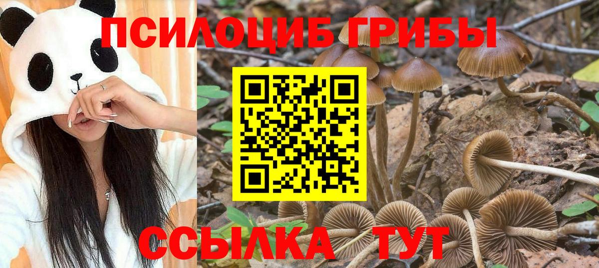 Галлюциногенные грибы прущие грибы Большой Камень