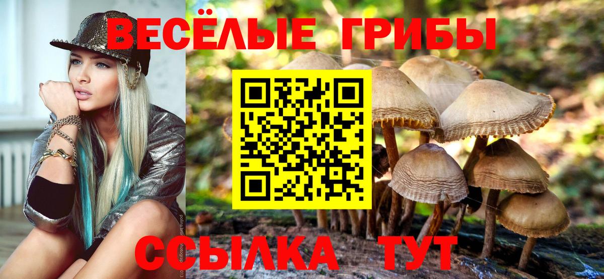 Псилоцибиновые грибы Magic Shrooms  Вход с VPN  Большой Камень 