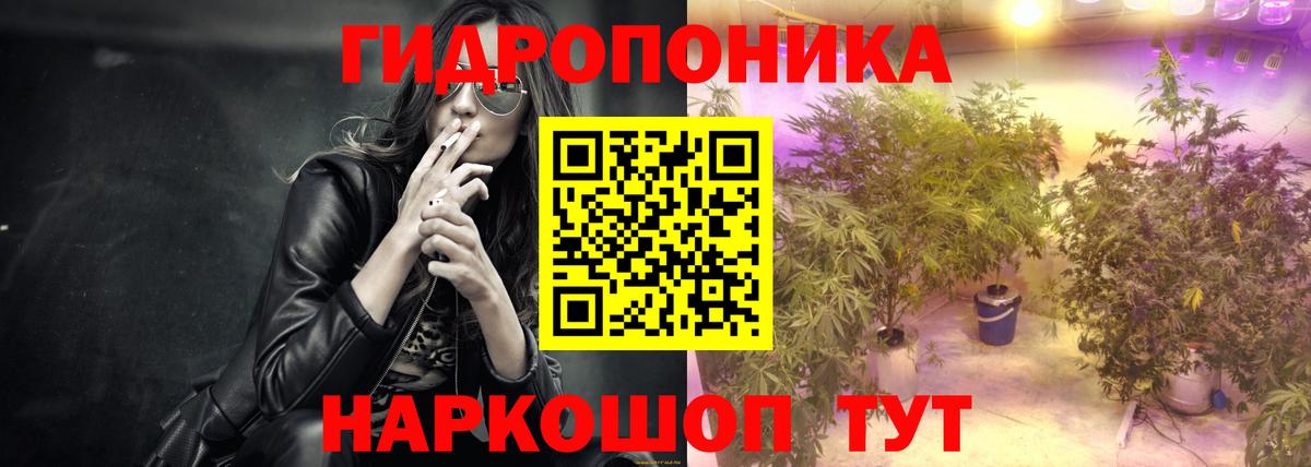 Шишки марихуана план Большой Камень